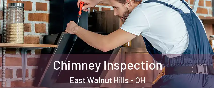 Chimney Inspection East Walnut Hills - OH