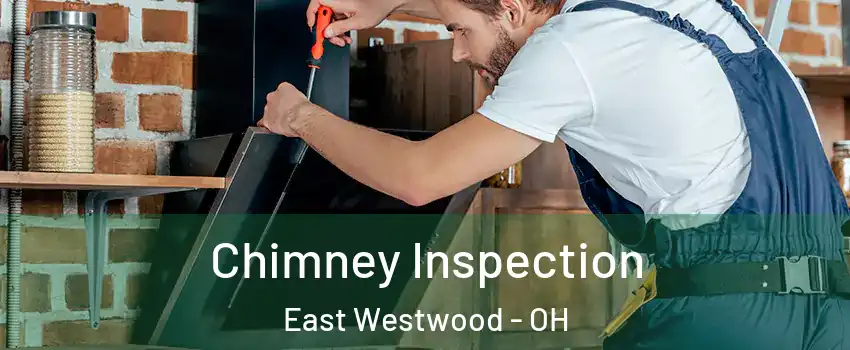 Chimney Inspection East Westwood - OH