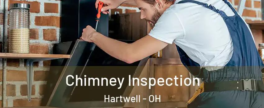 Chimney Inspection Hartwell - OH