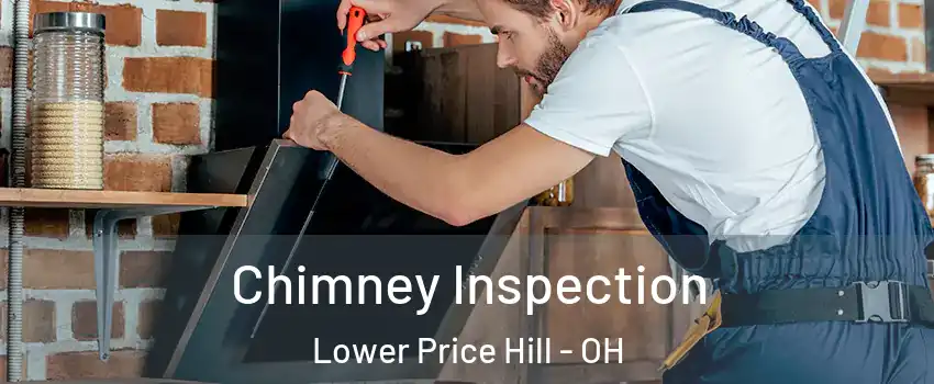 Chimney Inspection Lower Price Hill - OH