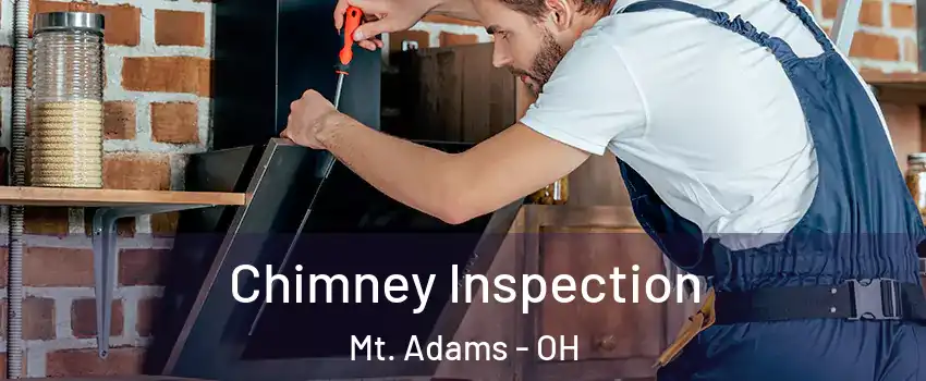 Chimney Inspection Mt. Adams - OH