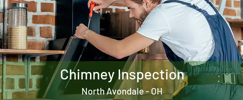 Chimney Inspection North Avondale - OH