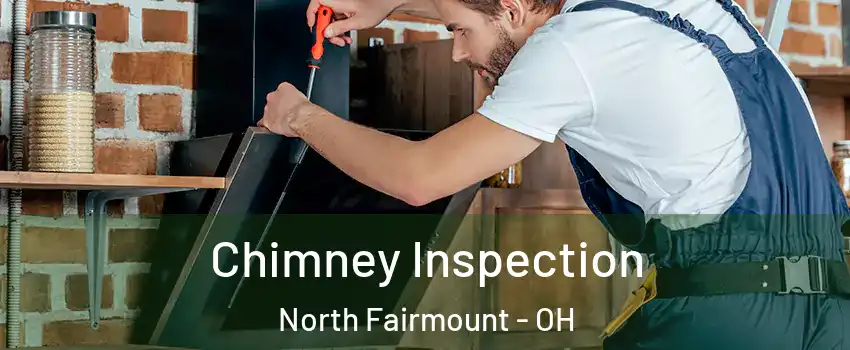 Chimney Inspection North Fairmount - OH