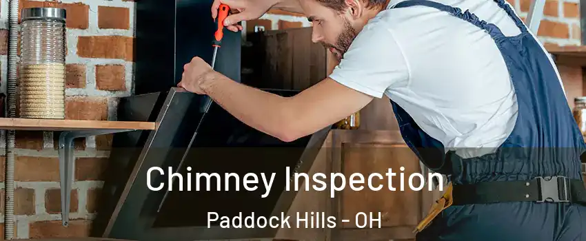 Chimney Inspection Paddock Hills - OH