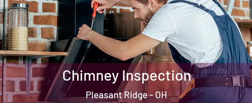 Chimney Inspection Pleasant Ridge - OH