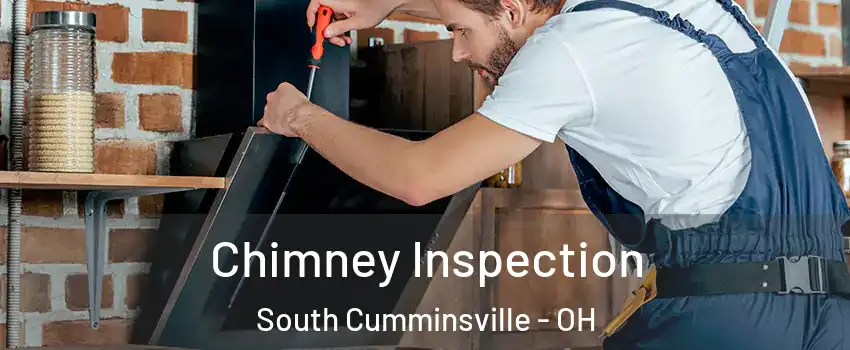 Chimney Inspection South Cumminsville - OH