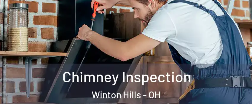 Chimney Inspection Winton Hills - OH