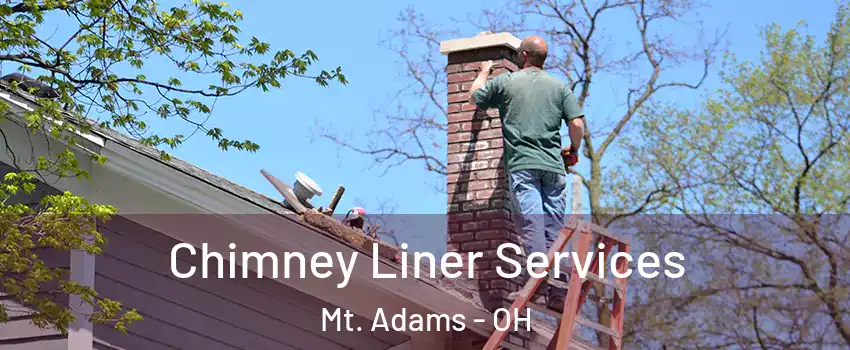 Chimney Liner Services Mt. Adams - OH