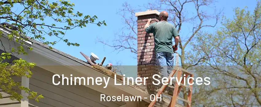 Chimney Liner Services Roselawn - OH