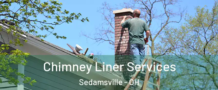 Chimney Liner Services Sedamsville - OH