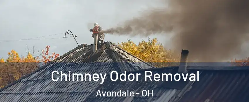 Chimney Odor Removal Avondale - OH