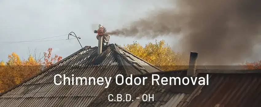 Chimney Odor Removal C.B.D. - OH