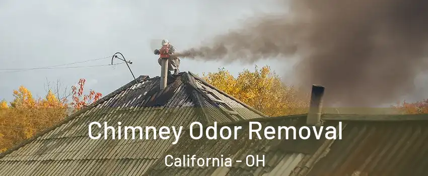 Chimney Odor Removal California - OH