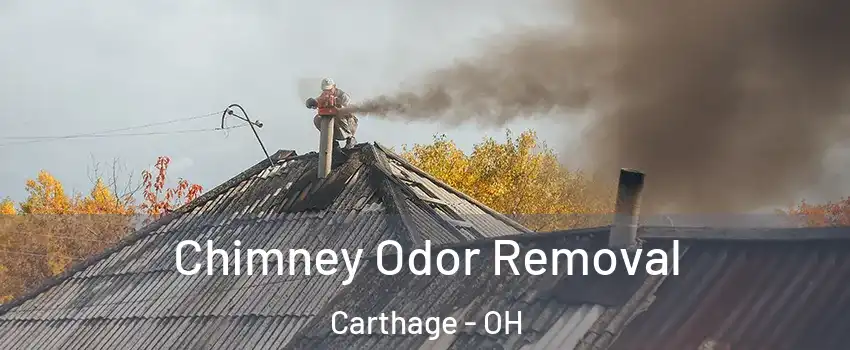 Chimney Odor Removal Carthage - OH