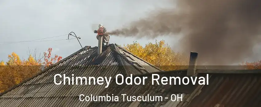 Chimney Odor Removal Columbia Tusculum - OH