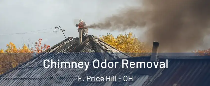 Chimney Odor Removal E. Price Hill - OH