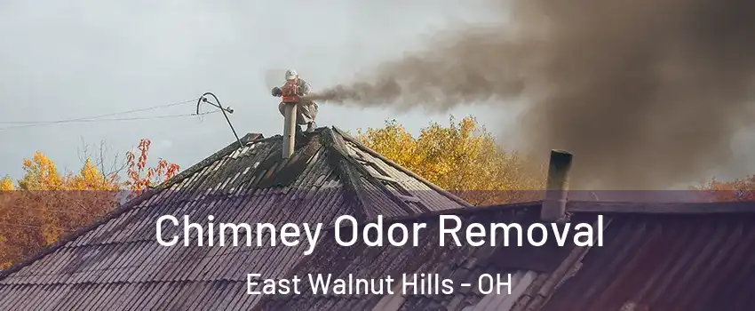 Chimney Odor Removal East Walnut Hills - OH