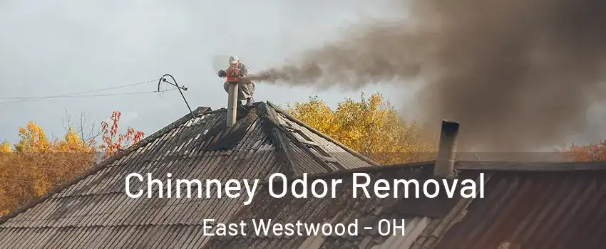 Chimney Odor Removal East Westwood - OH