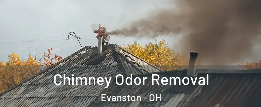 Chimney Odor Removal Evanston - OH