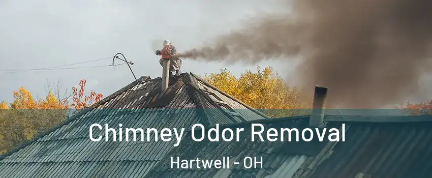 Chimney Odor Removal Hartwell - OH