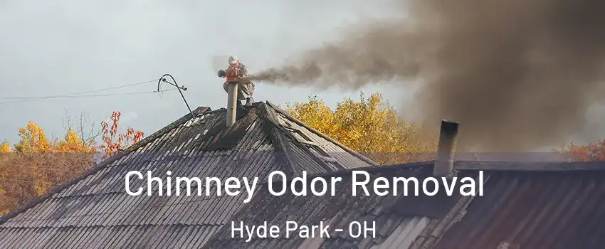 Chimney Odor Removal Hyde Park - OH