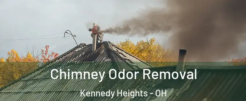 Chimney Odor Removal Kennedy Heights - OH