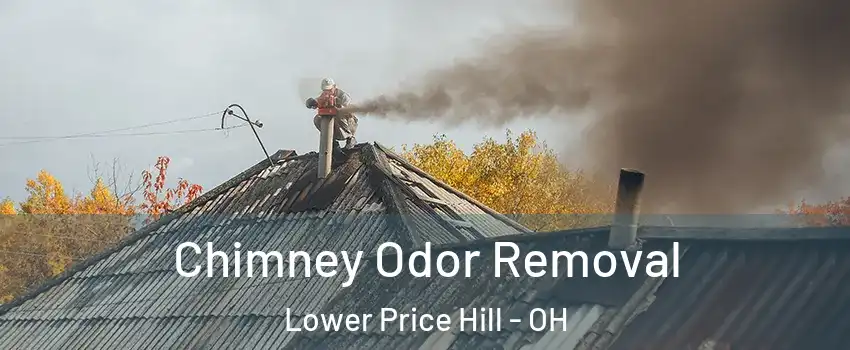 Chimney Odor Removal Lower Price Hill - OH