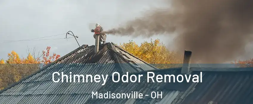 Chimney Odor Removal Madisonville - OH