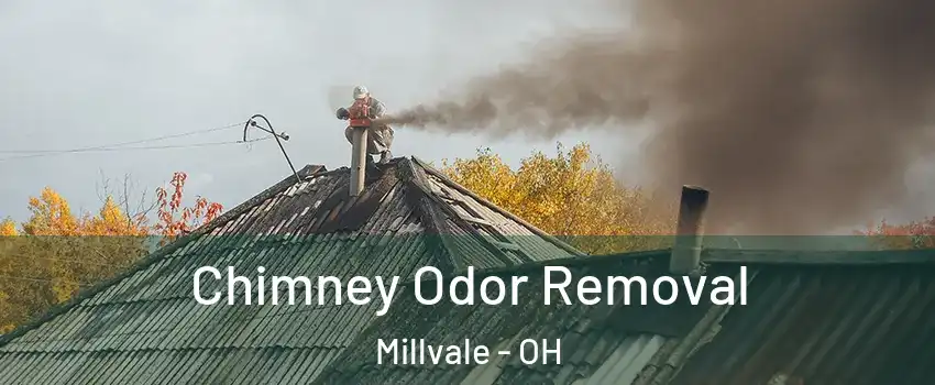 Chimney Odor Removal Millvale - OH