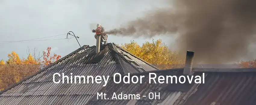 Chimney Odor Removal Mt. Adams - OH