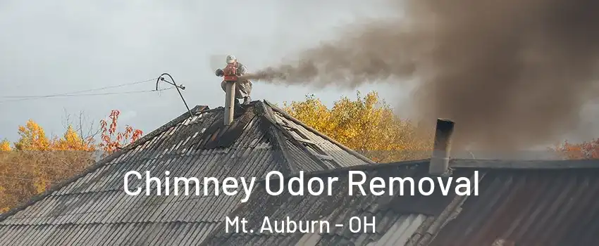 Chimney Odor Removal Mt. Auburn - OH