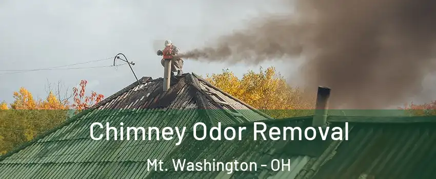 Chimney Odor Removal Mt. Washington - OH