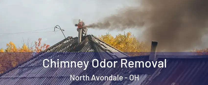 Chimney Odor Removal North Avondale - OH