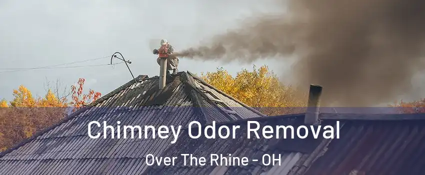 Chimney Odor Removal Over The Rhine - OH