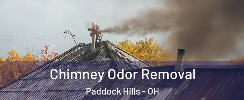 Chimney Odor Removal Paddock Hills - OH