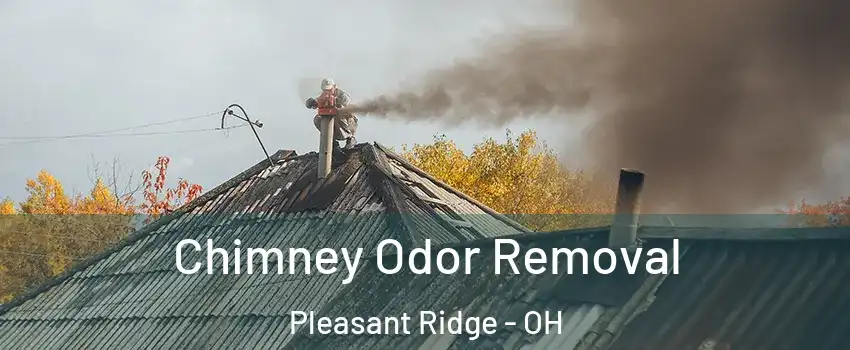 Chimney Odor Removal Pleasant Ridge - OH