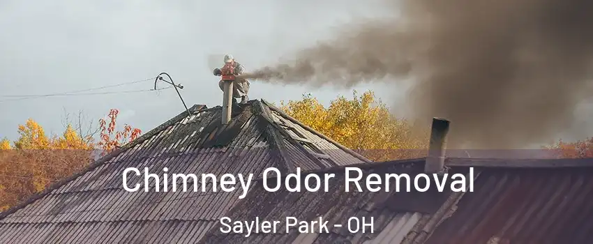 Chimney Odor Removal Sayler Park - OH