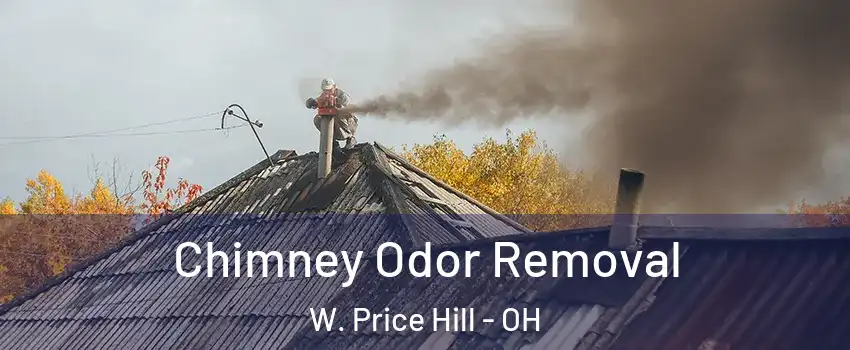 Chimney Odor Removal W. Price Hill - OH