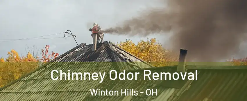 Chimney Odor Removal Winton Hills - OH