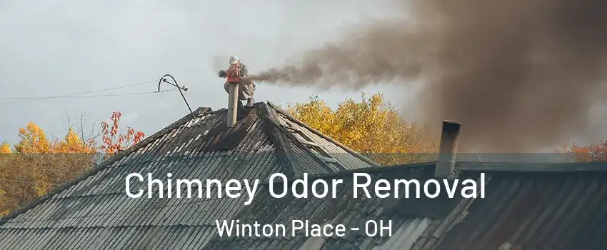 Chimney Odor Removal Winton Place - OH