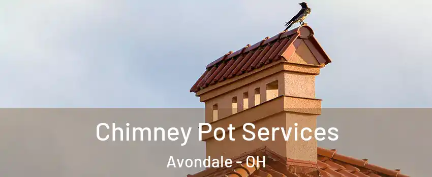 Chimney Pot Services Avondale - OH