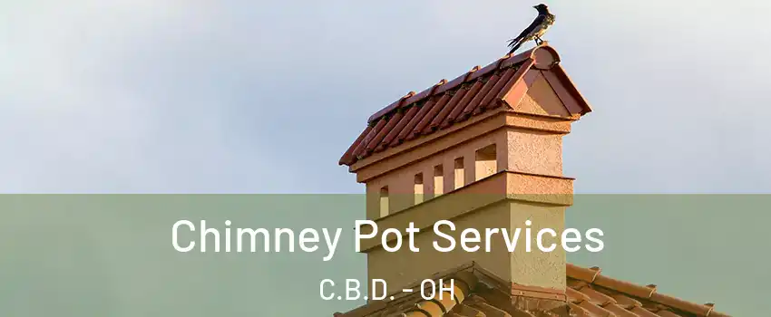 Chimney Pot Services C.B.D. - OH