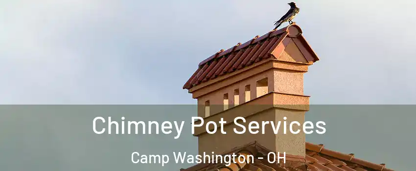 Chimney Pot Services Camp Washington - OH