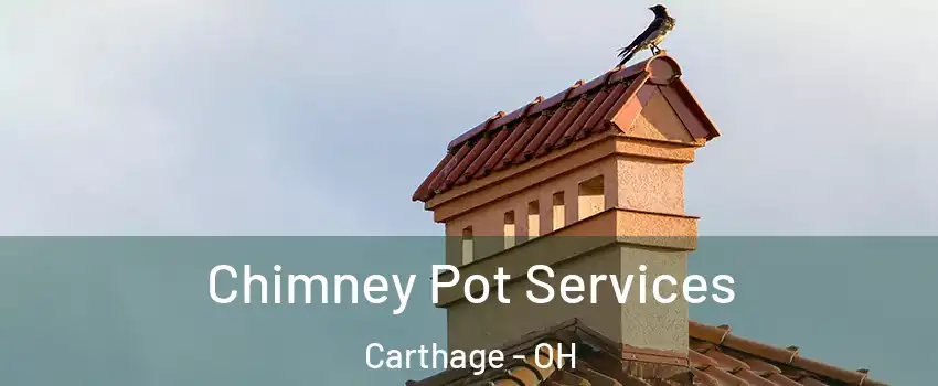 Chimney Pot Services Carthage - OH