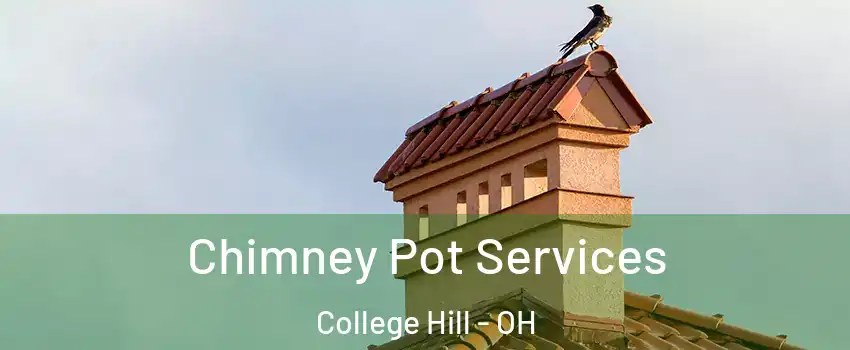 Chimney Pot Services College Hill - OH