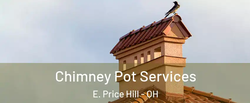 Chimney Pot Services E. Price Hill - OH