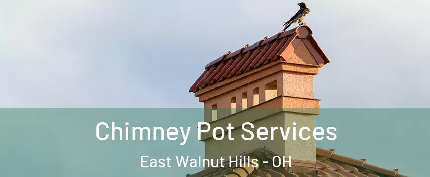 Chimney Pot Services East Walnut Hills - OH