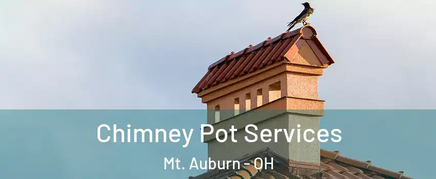 Chimney Pot Services Mt. Auburn - OH