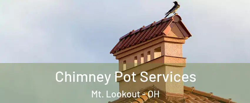 Chimney Pot Services Mt. Lookout - OH