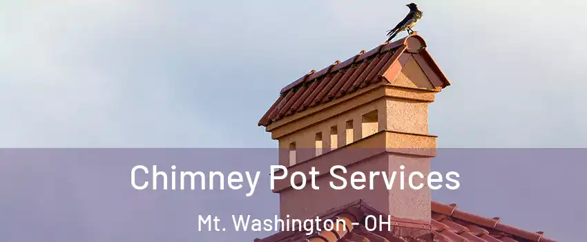 Chimney Pot Services Mt. Washington - OH